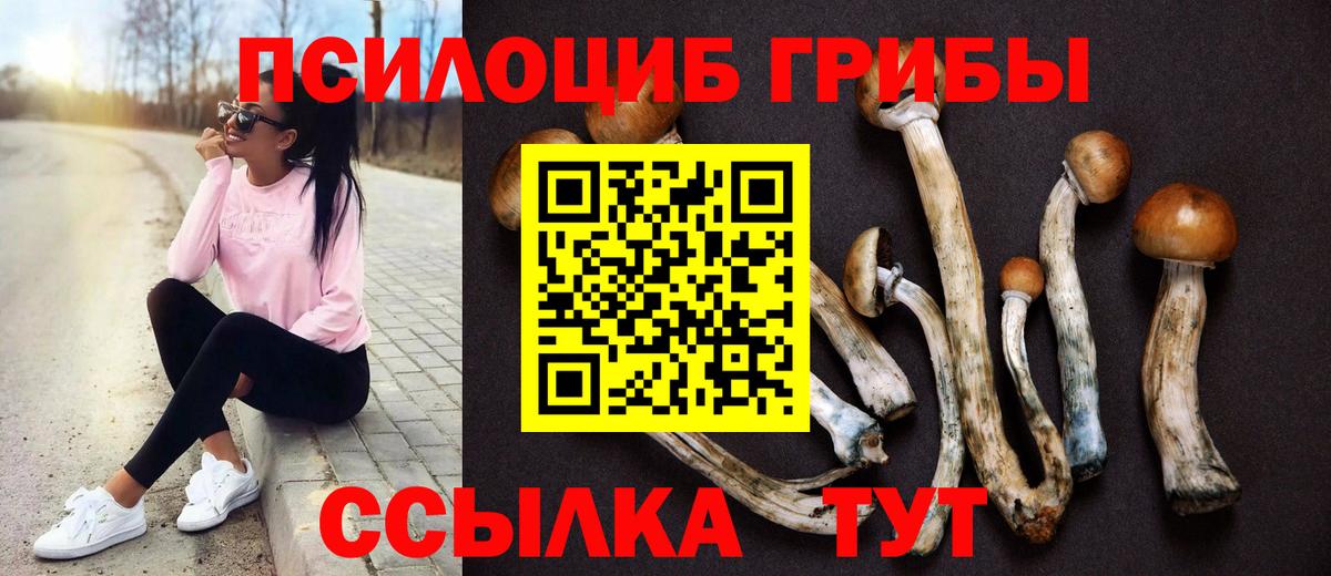 Псилоцибиновые грибы мухоморы  Вход с VPN  Кисловодск  Псилоцибиновые грибы Psilocybe 